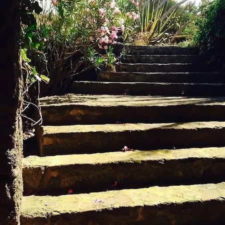 Ferienhaus Dammuso Sulla Scogliera - Pantelleria